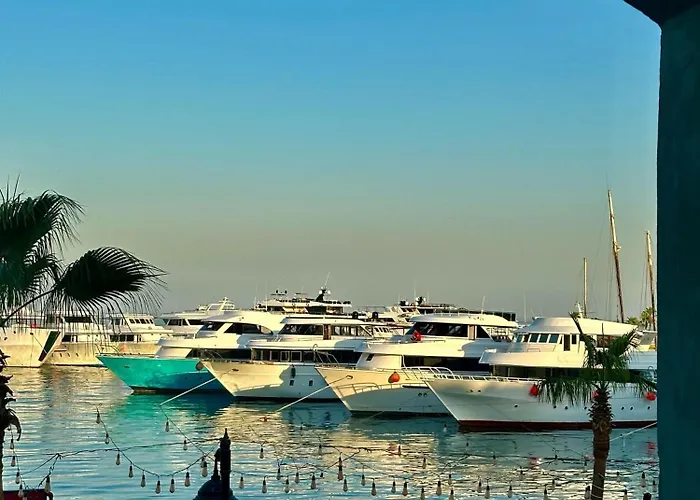 New Marina * الغردقة